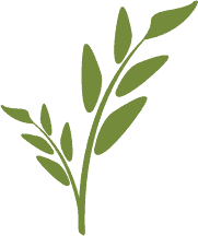 logo leaf